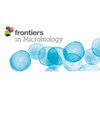 Frontiers in Microbiology杂志封面